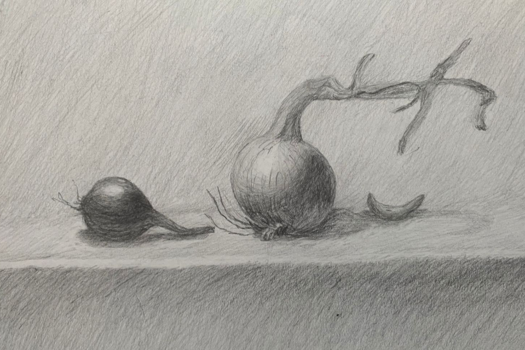 Мастер-класс «Овощи графитными карандашами»