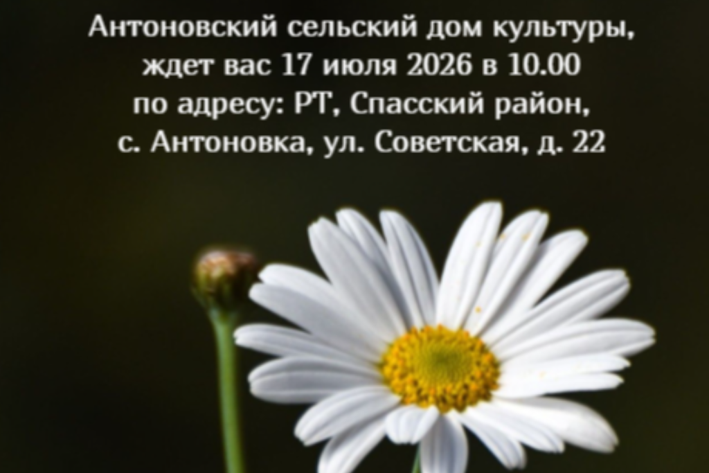 Познавательная программа «Фото с ромашкой на счастье»