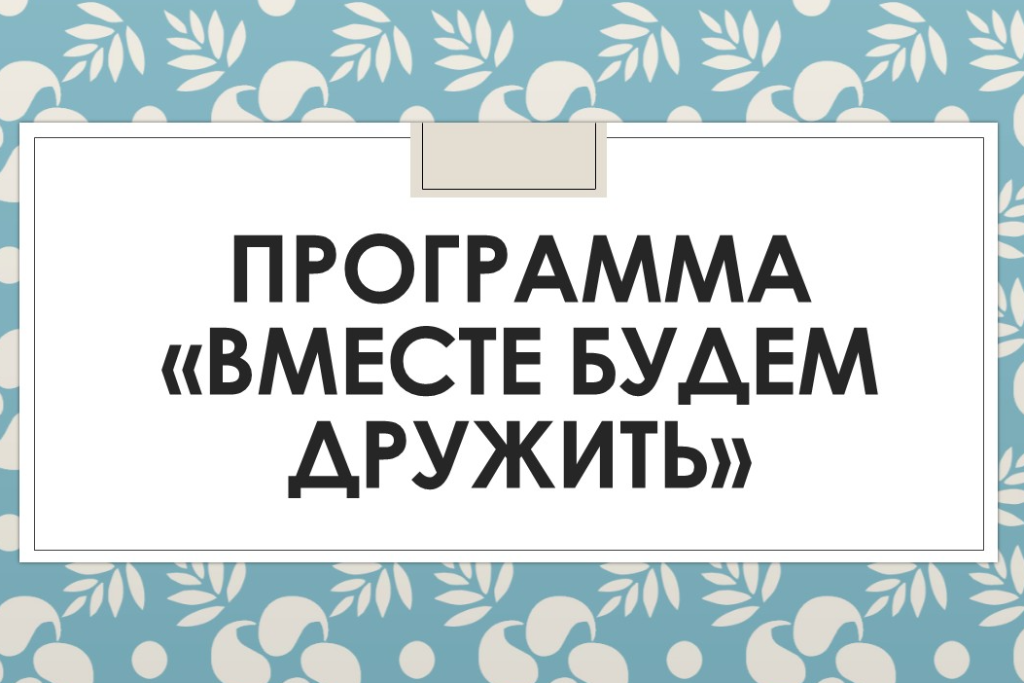 Программа «Вместе будем дружить»