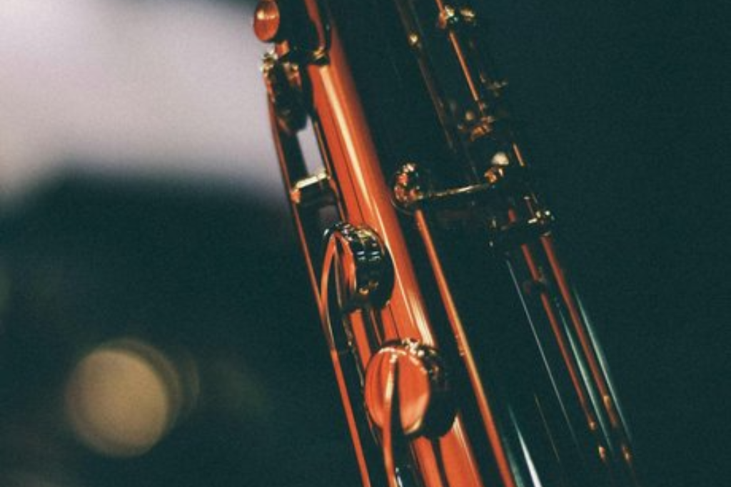 Музыкальная лекция «Скрипки маленькие, скрипки большие»