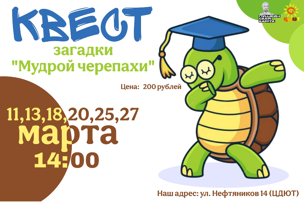 Квест «загадки Мудрой черепахи»