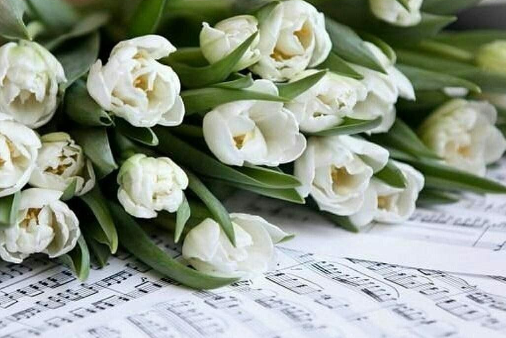 Праздничный концерт 