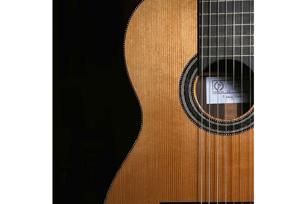 Консерватория / "Дни гитары в Казанской консерватории"