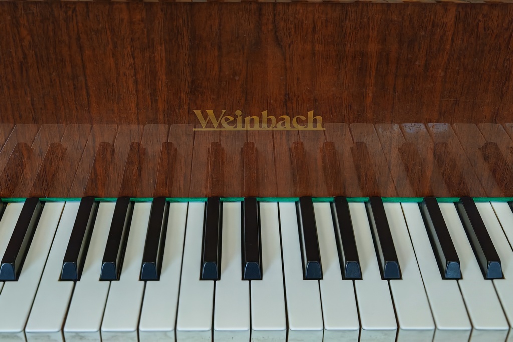 Мастер-класс «Фортепиано для начинающих»