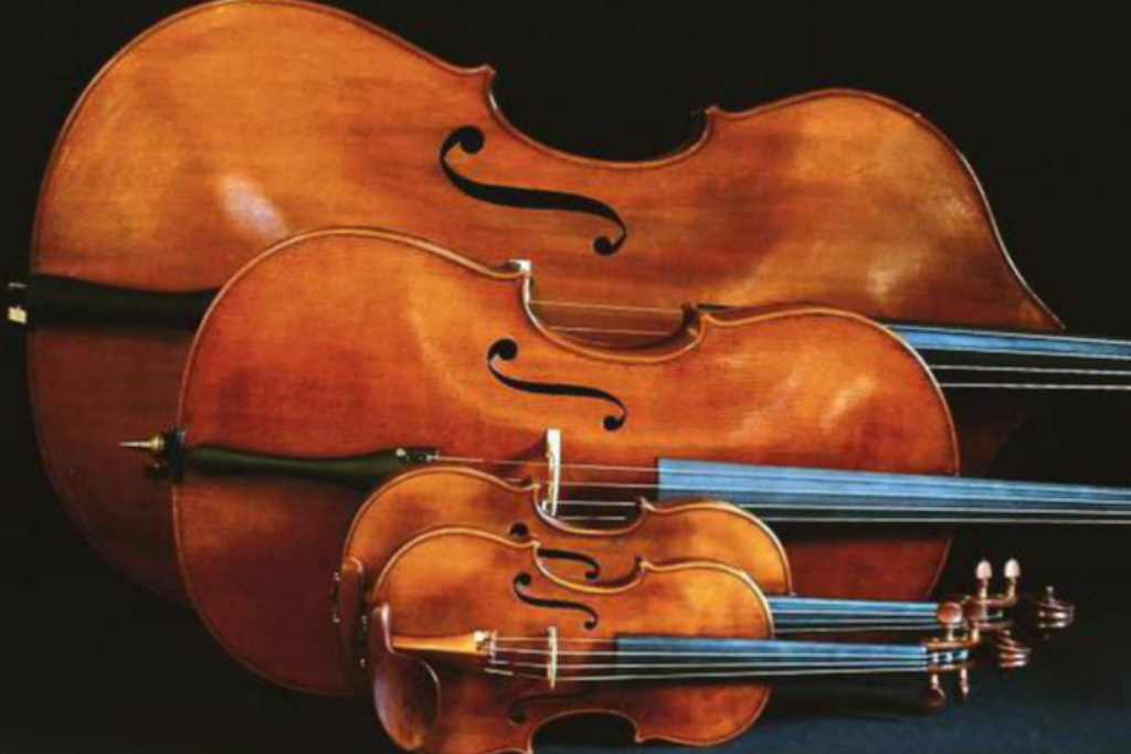 Мастер - класс по скрипке «Начальные этапы самостоятельного изучения скрипки
