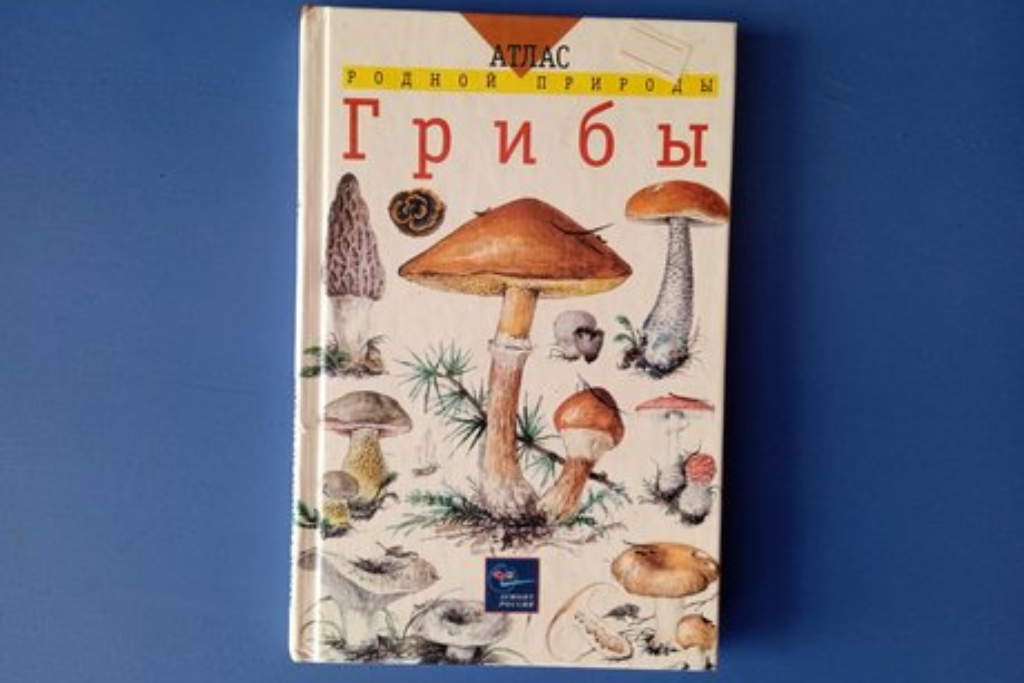 «Съедобное или несъедобное»