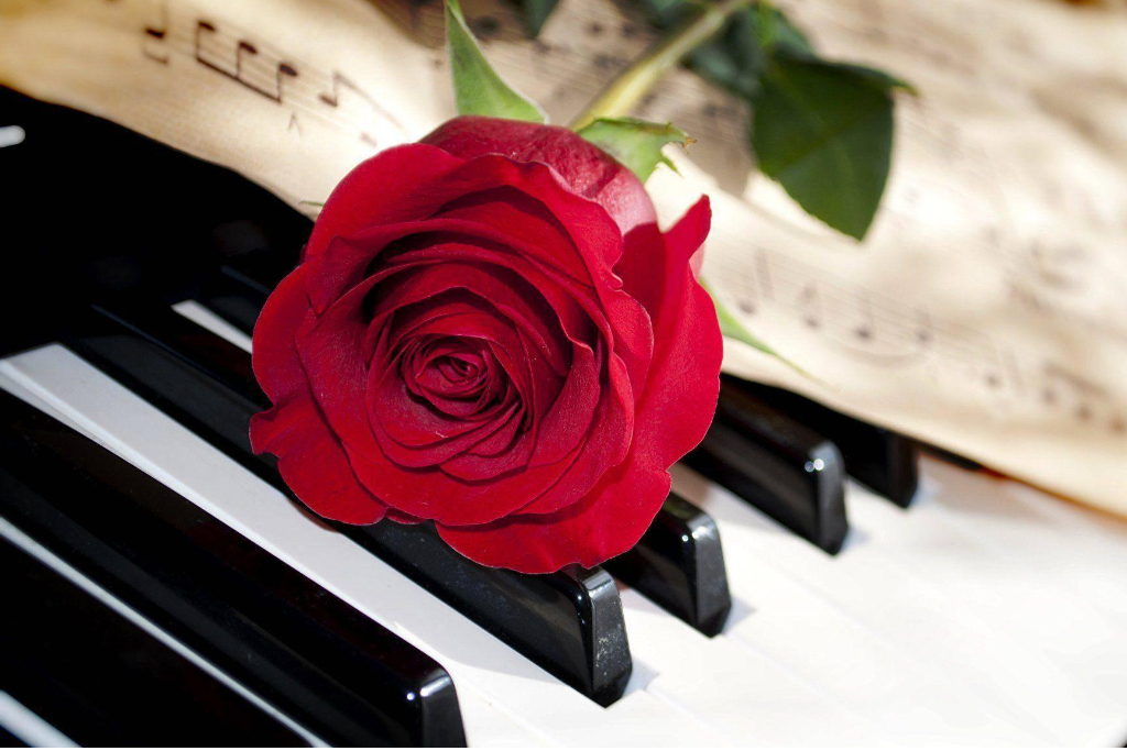 «Творческая лаборатория. Сольфеджио»