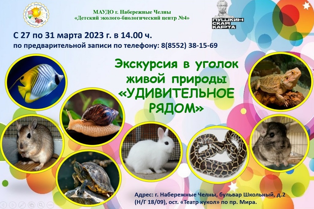 Экскурсия в уголок живой природы 
