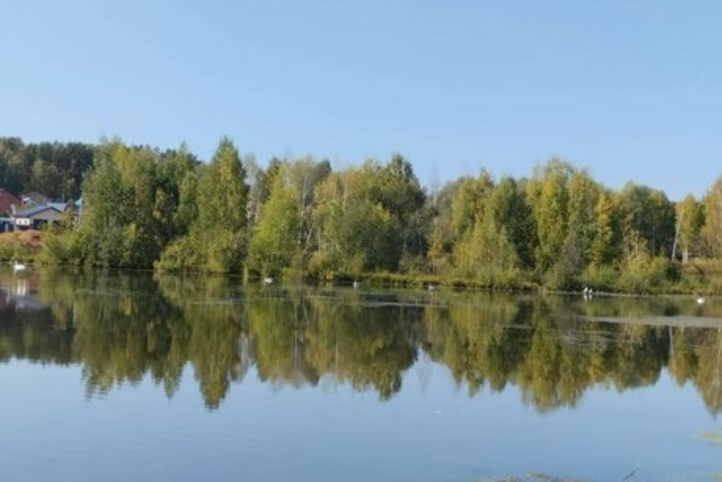 «Малая родина – большая любовь»