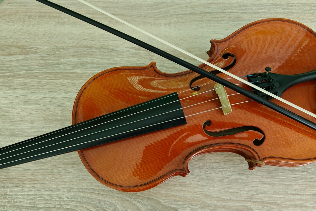 Мастер-класс «Искусство смычка»