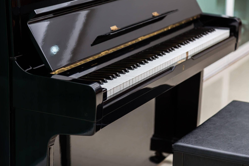 Мастер-класс «Развитие слуховых навыков пианиста»