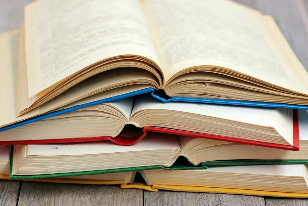 «Литературный батл»