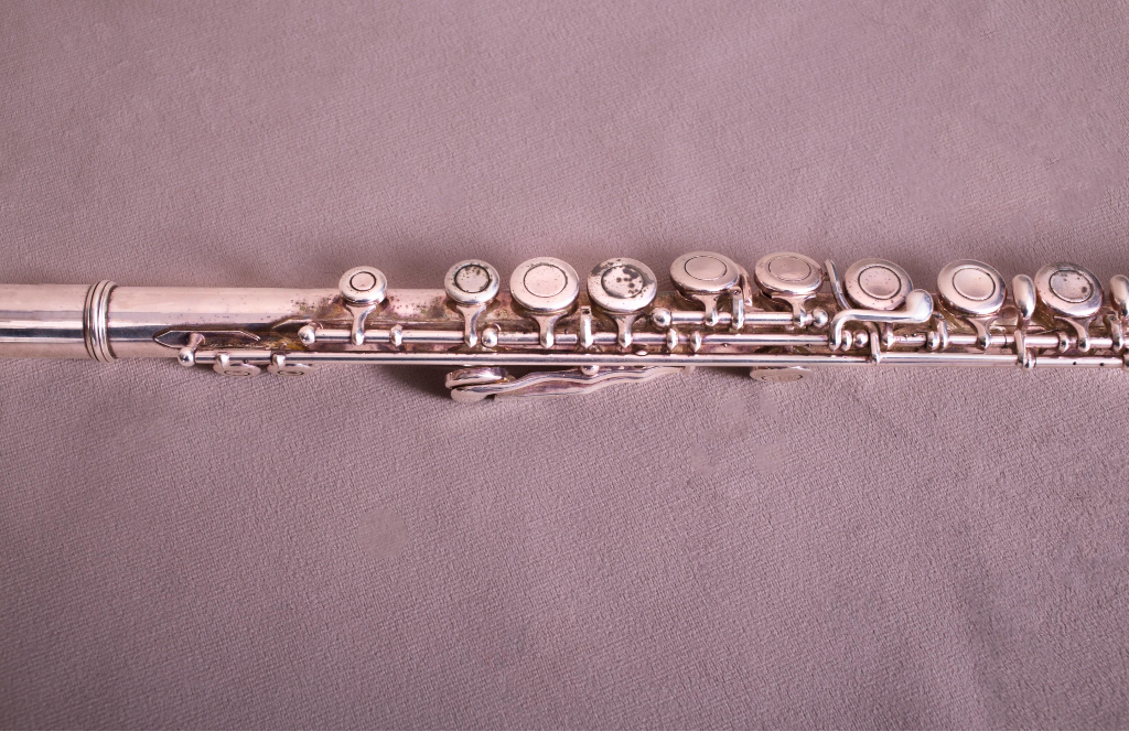 Мастер-класс «Магия флейты: знакомство с инструментом»