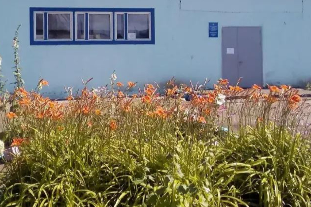 афиша Тубинский СДК, с. Туба, ул. Чапаева, д. 18