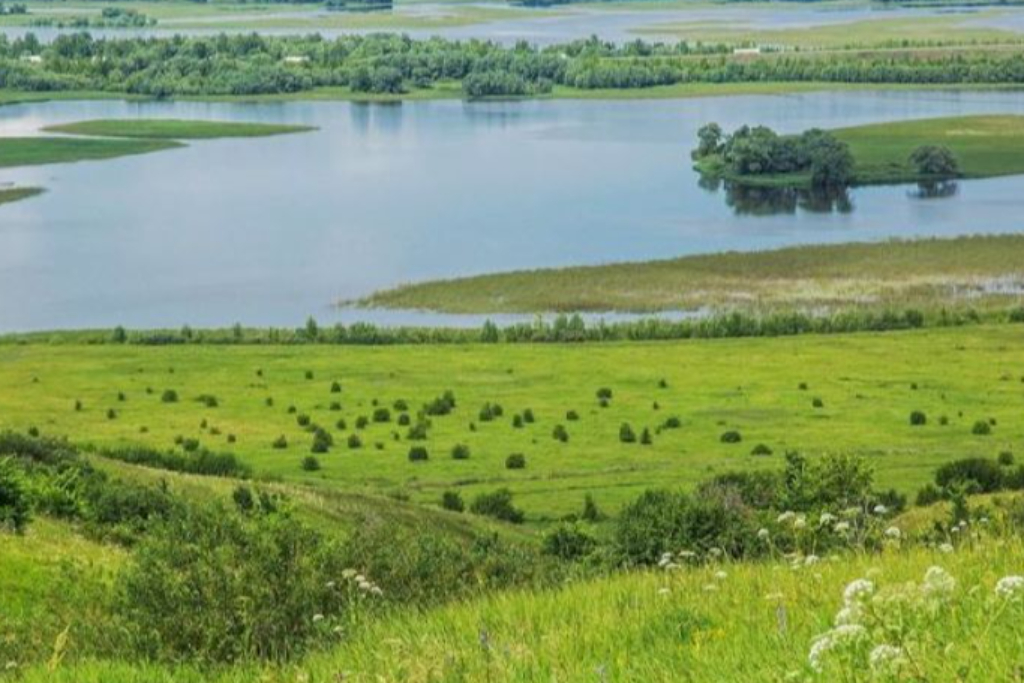 Концерт «Мелодии родного края»