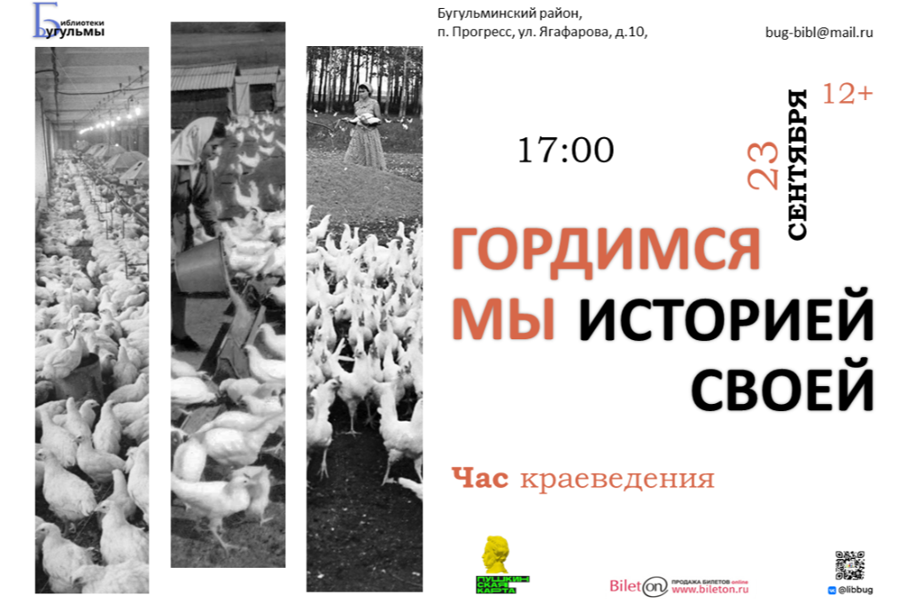 Час краеведения «Гордимся мы историей своей"