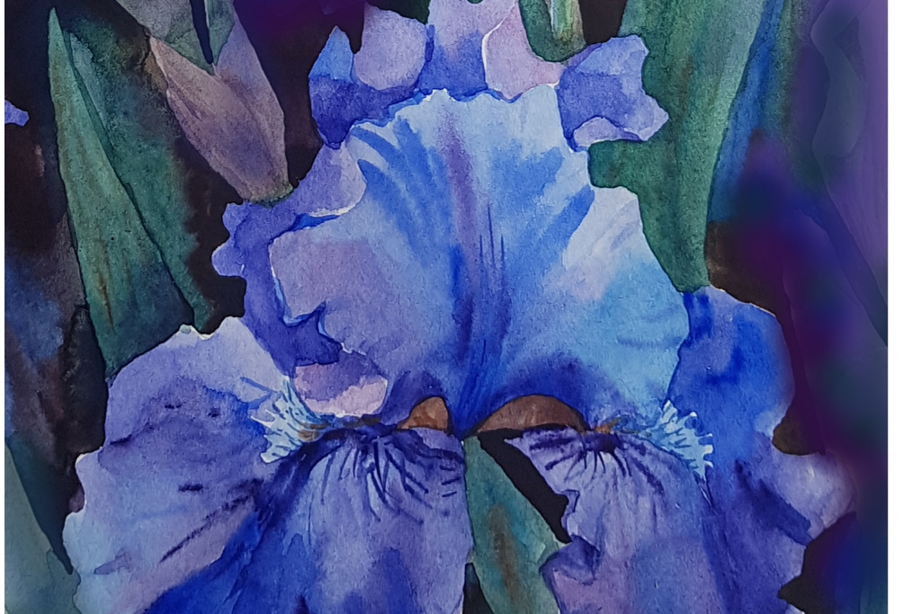 Мастер-класс «Ночная серенада. Ирис»