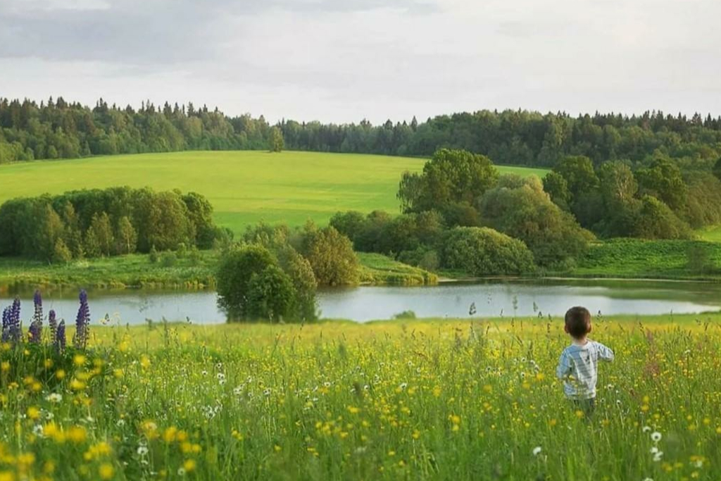 Программа «Всему начало здесь, в краю моем родном…»