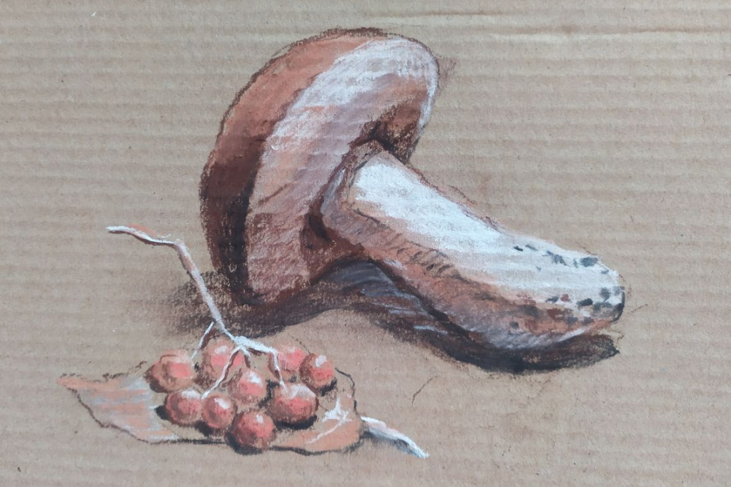 Мастер-класс «Натюрморт сепией и сангиной»