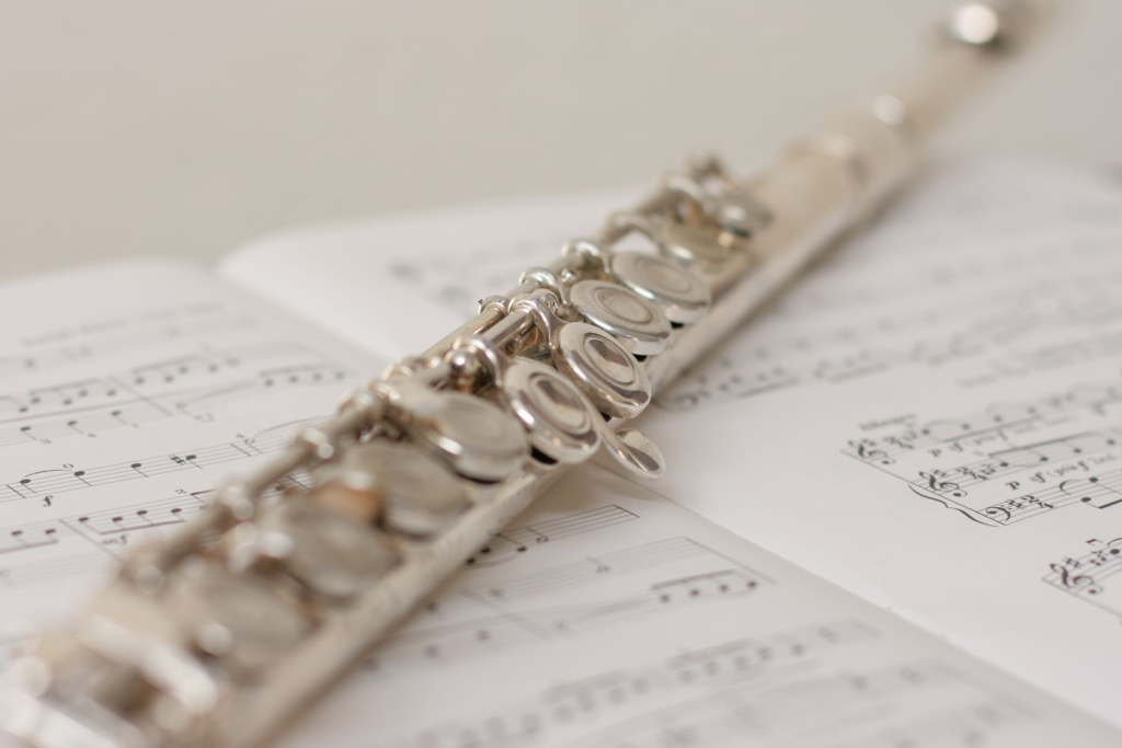 Программа «Голос флейты: от первого звука к мелодии»