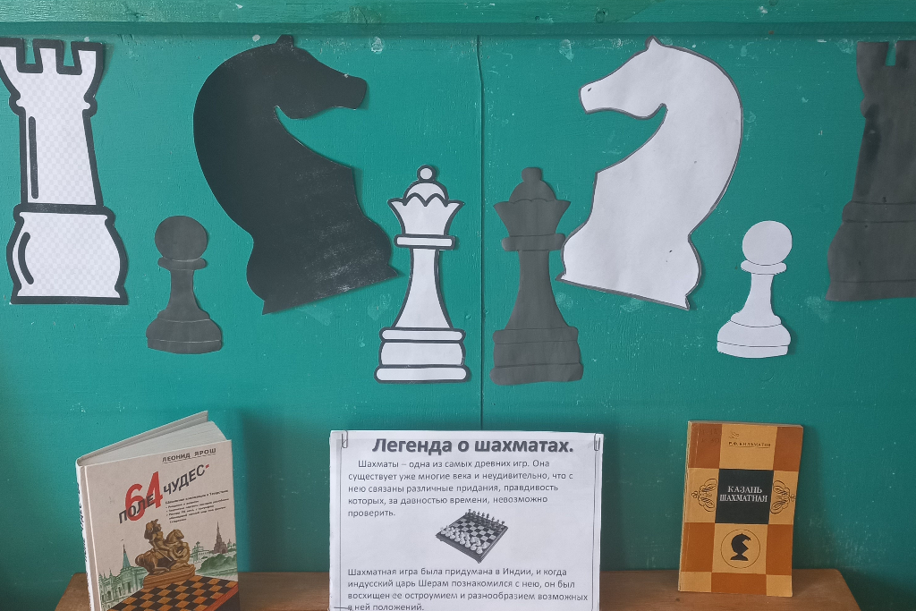 «В шахматы играю, ум развиваю»