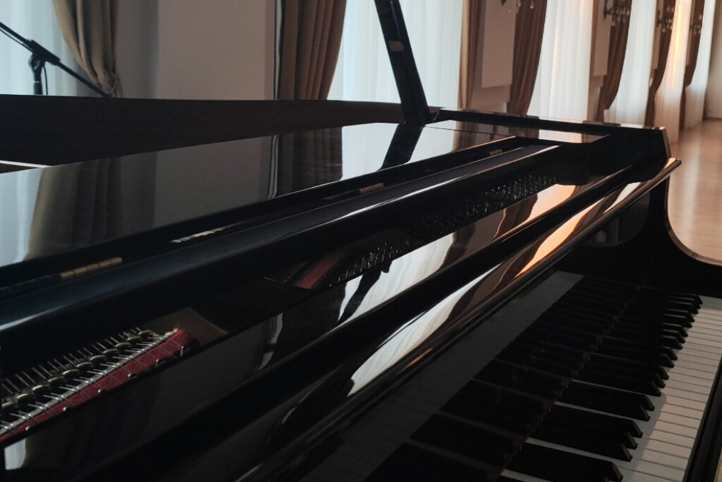 Концерт "Музыкальная снежинка"