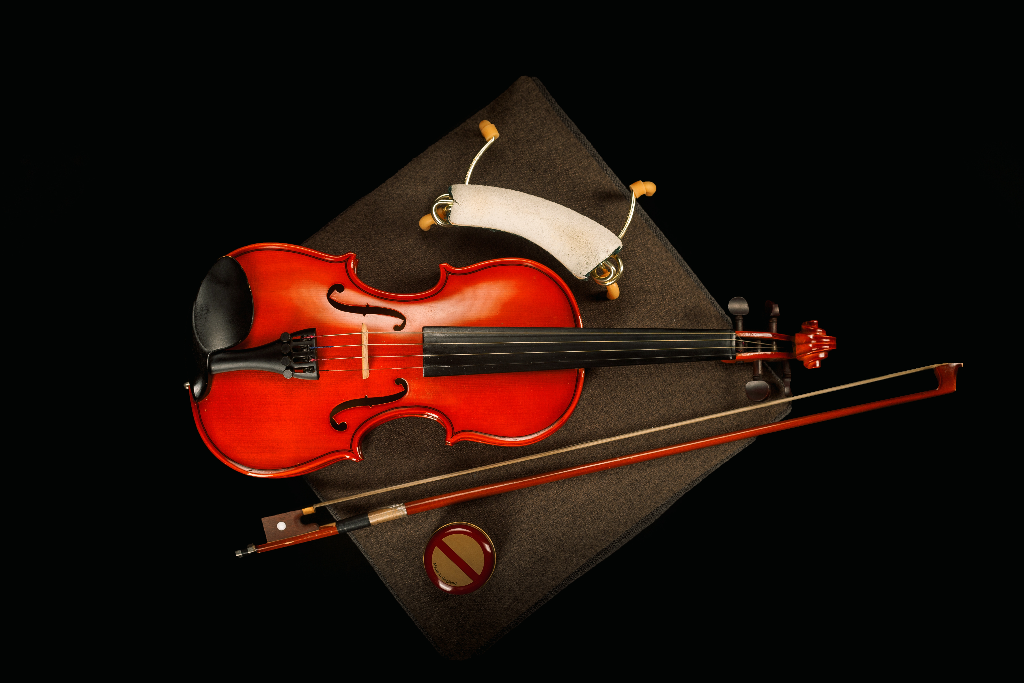 Концерт «В гостях у скрипки»