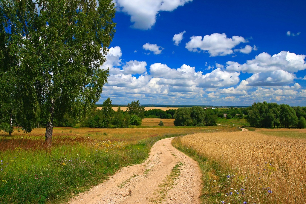 «Я эту землю Родиной зову»
