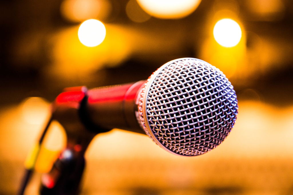 Мастер-класс "Волшебство голоса"