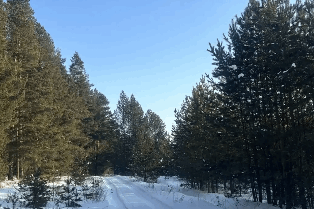 "История села в фотографиях"