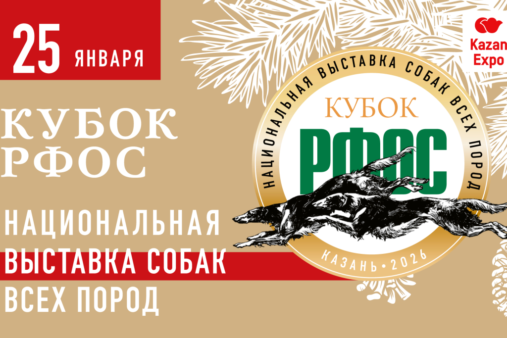 Национальная выставка собак всех пород / Кубок РФОС