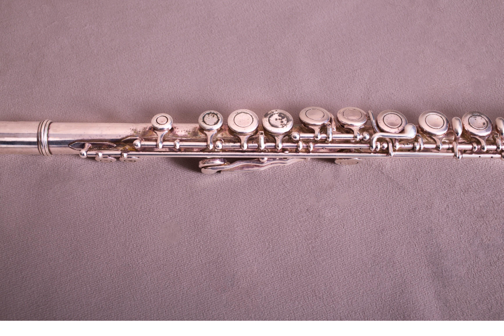 Мастер-класс «Флейта с нуля: быстрый старт»