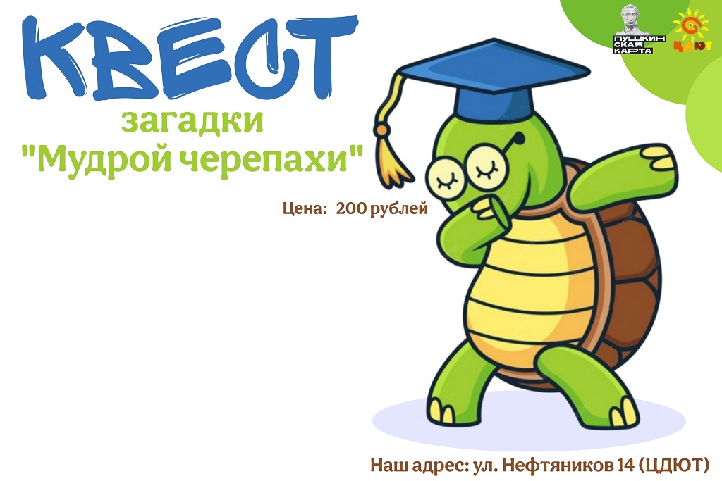 Квест «загадки Мудрой черепахи»