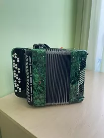 Мастер-класс игры на баяне