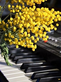 Консерватория/ Концерт «Фортепианная школа Казанской консерватории. Новое поколение»