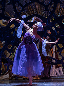 Спящая красавица