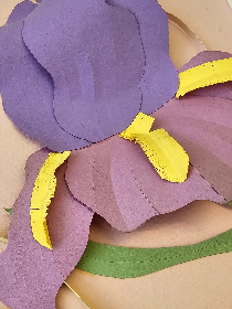 Мастер-класс «Ирис»