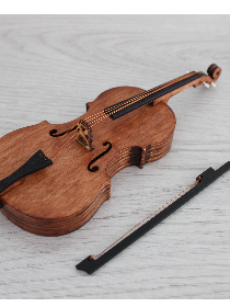 Отчетный концерт струнно-смычкового отдела