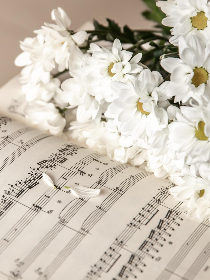 Мастер-класс «Искусство вибрато: выразительность звука»