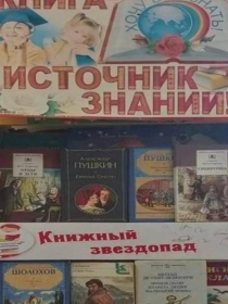 «Любимых книг чудесные страницы»