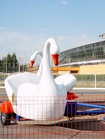 Лебеди