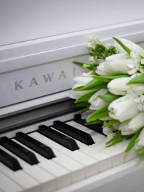 Мастер-класс «Работа над полифоническими произведениями»