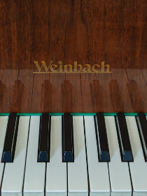 Мастер-класс «Фортепиано для начинающих»