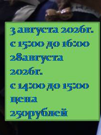'В погоне за книгой'