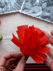 Гвоздика памяти