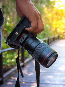 Программа «Живые фотографии»