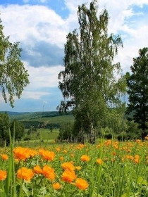 'Национальное наследие'