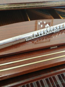 Мастер-класс «Искусство игры на флейте»