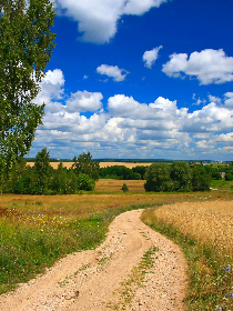 «Я эту землю Родиной зову»