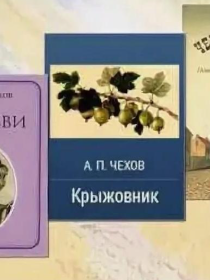Программа «В человеке все должно быть прекрасно»